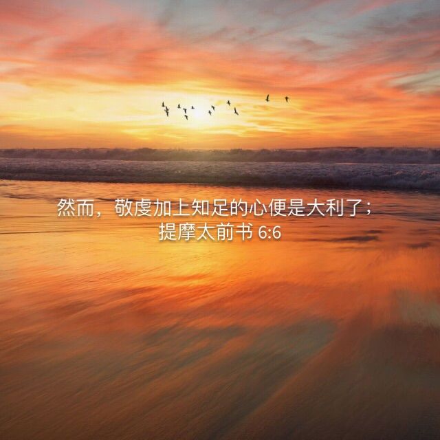 然而，敬虔加上知足的心便是大利了；提摩太前書6:6