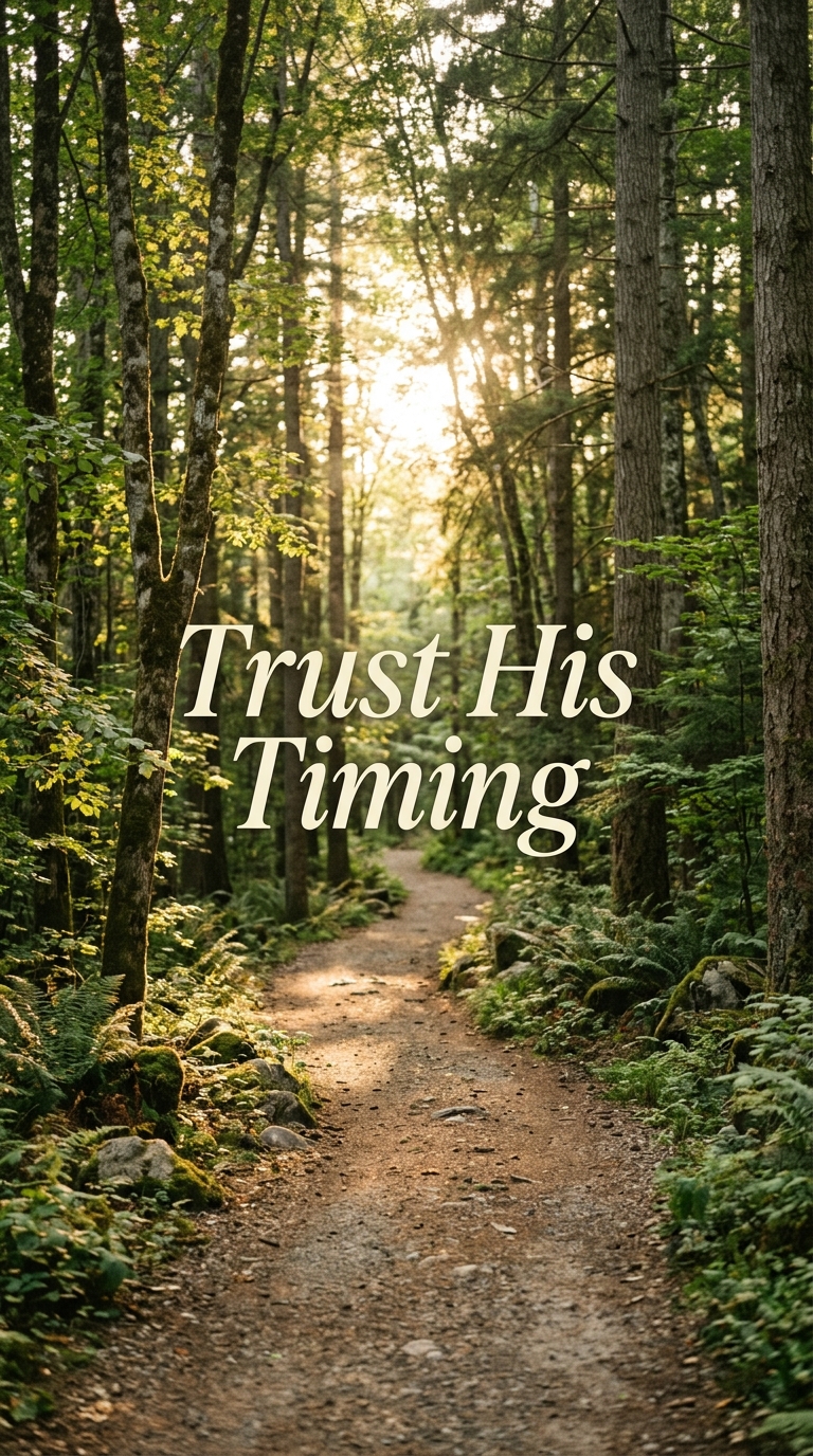 Trust His Timing